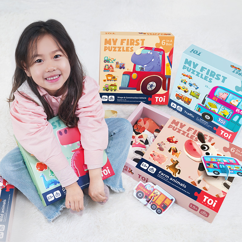 TOI 6 In A Box Advanced Puzzle - Kids First Education 评论和价格