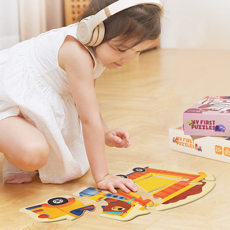 TOI 6 In A Box Advanced Puzzle - Kids First Education 评论和价格